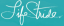 $4.99 Flat Rate Shipping on One Pair of Shoes