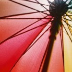 5 Important Insurance Policies Everyone Should Have